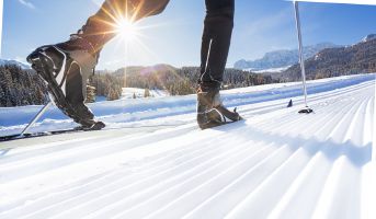 Raus in den Schnee